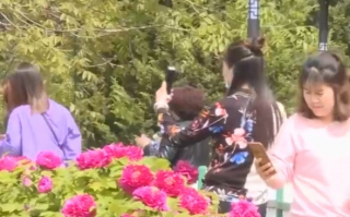 娟儿短视频制作 五一假期城里人进乡度假，我赚生活费，包吃住 50 块一个人皆大欢