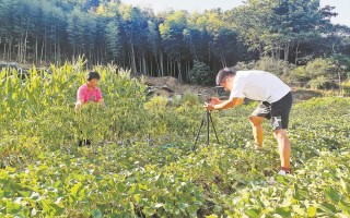 农村教育类短视频制作 自媒体人必看：用“注意力锚点”技术，把短视频剪成“赚钱工具”